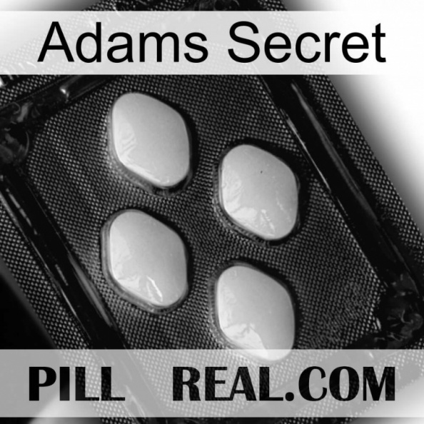 Adams Secret 04